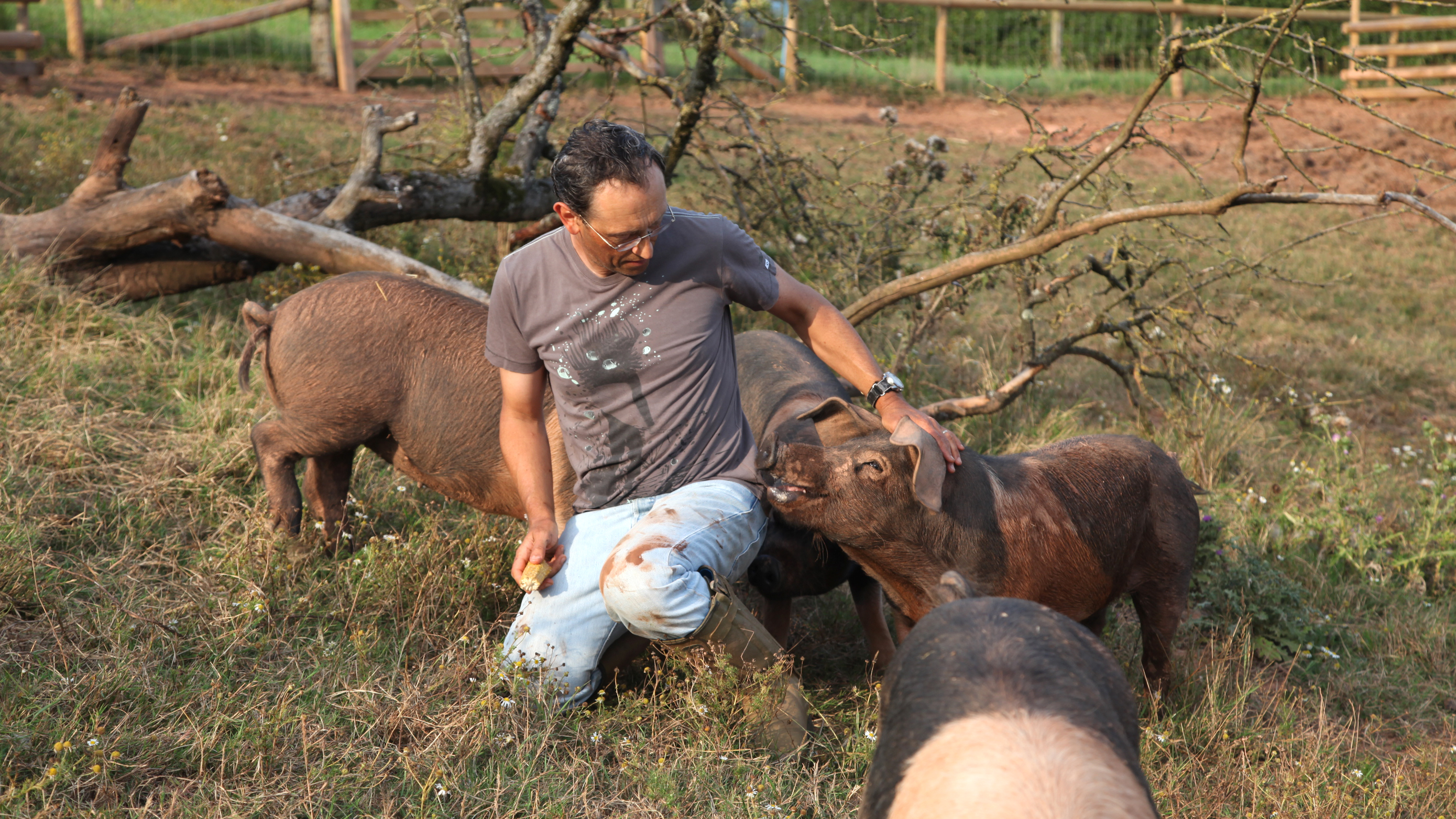 Organic farming